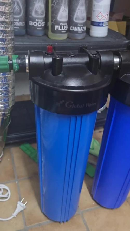 Super Lemon Haze (RDWC /SCrOG)