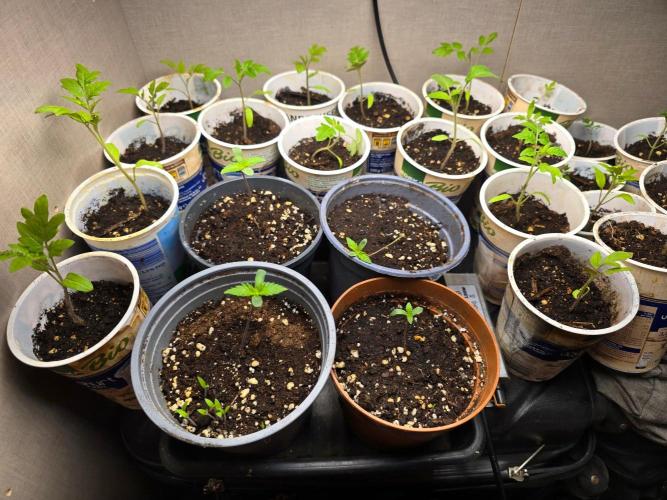 Outdoor like in the good old days. Week 0