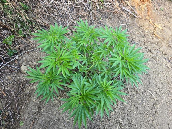 Outdoor like in the good old days. Week 9