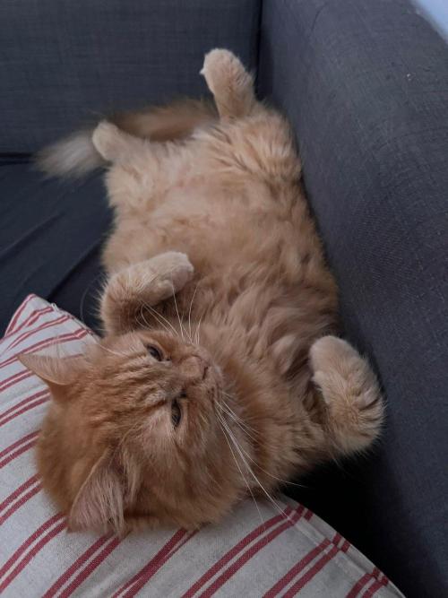 Planting some freebies!. Week 2