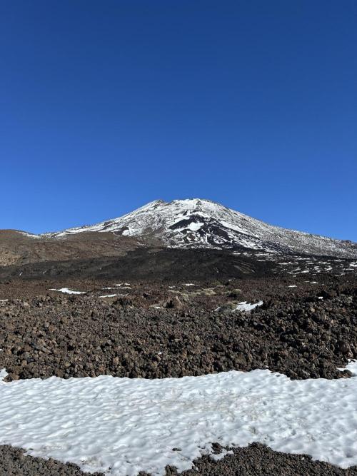 Planting some freebies!. Week 8