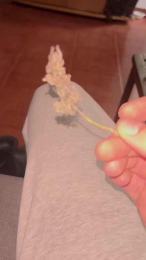 First try at my new balcony