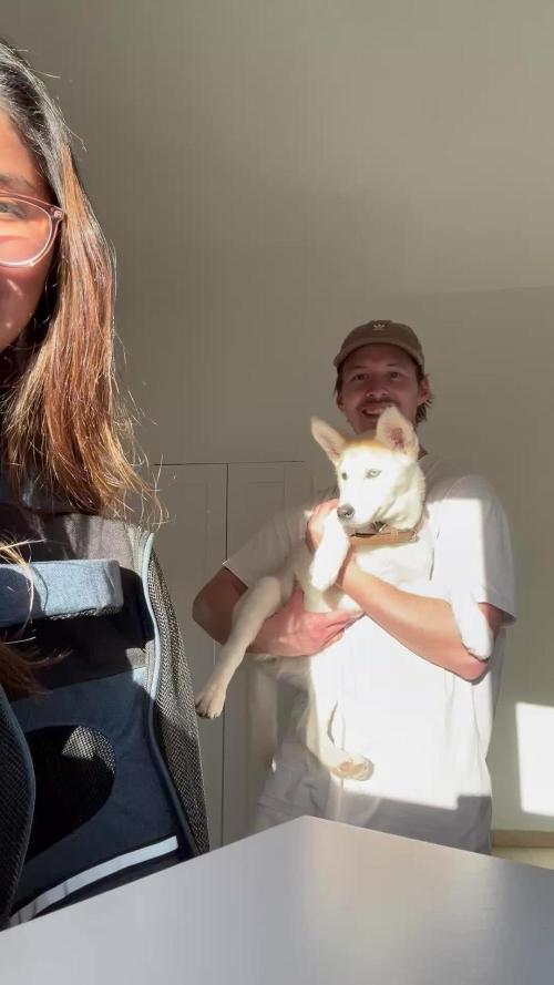 Orange sherbet  auto indoor