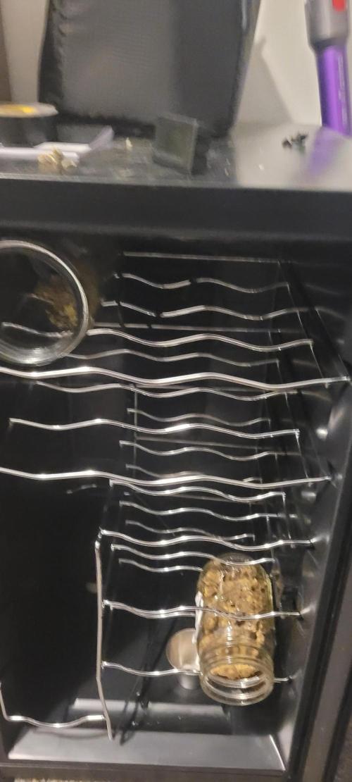 First Grow Fuel Dog Gaia Green. Week 19