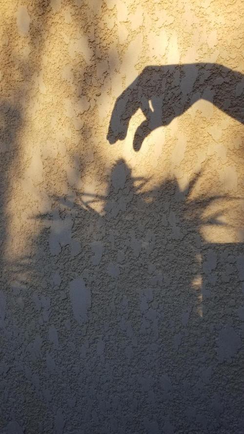 Delicious seeds ER/SP/BB/G. Week 25 - 😉