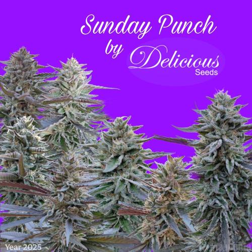Delicious seeds ER/SP/BB/G. Week 26 - Sunday Punch 