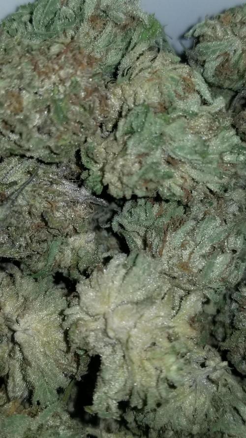 Delicious seeds ER/SP/BB/G. Week 27 - Bay Burger 