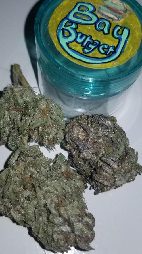 Delicious seeds ER/SP/BB/G. Week 27 - Bay Burger 