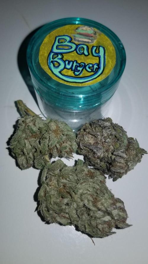 Delicious seeds ER/SP/BB/G. Week 27 - Bay Burger 