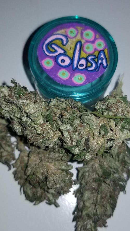 Delicious seeds ER/SP/BB/G. Week 27 - Golosa 