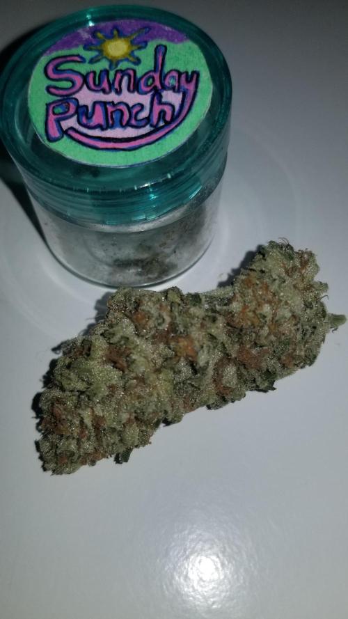 Delicious seeds ER/SP/BB/G. Week 27 - Sunday Punch 