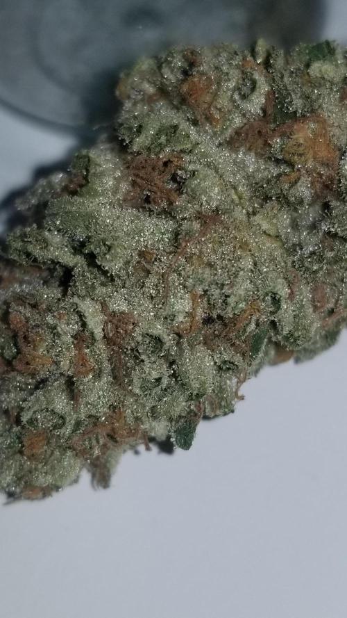 Delicious seeds ER/SP/BB/G. Week 27 - Sunday Punch 