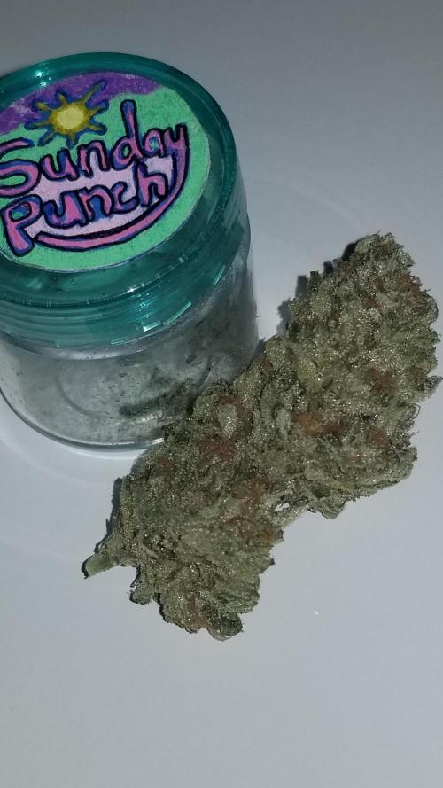 Delicious seeds ER/SP/BB/G. Week 27 - Sunday Punch 