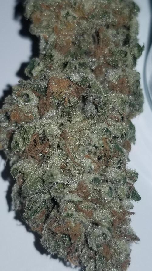 Delicious seeds ER/SP/BB/G. Week 27 - Sunday Punch 