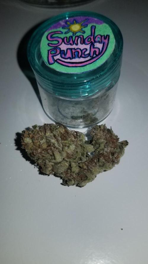 Delicious seeds ER/SP/BB/G. Week 27 - Sunday Punch 