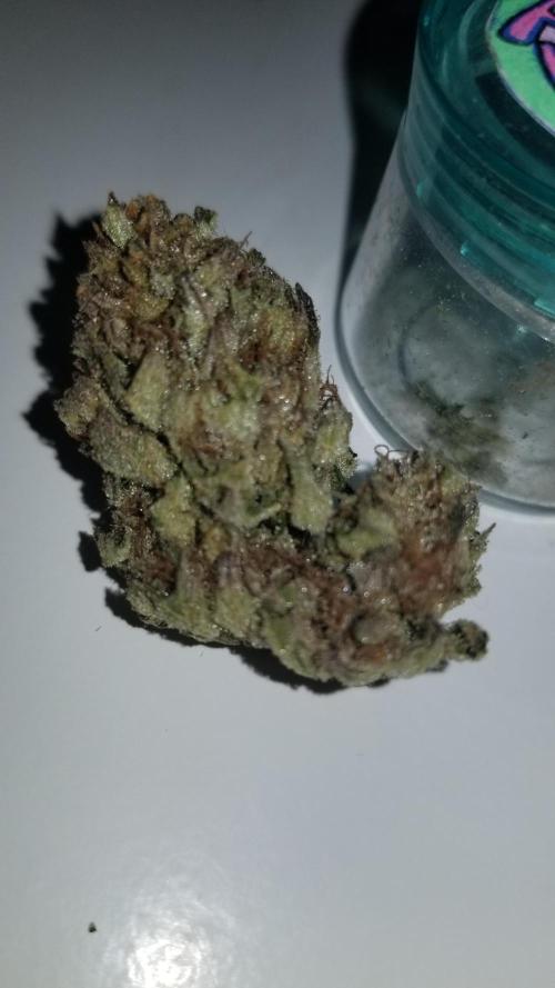 Delicious seeds ER/SP/BB/G. Week 27 - Sunday Punch 