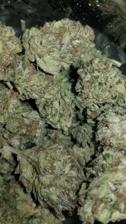 Delicious seeds ER/SP/BB/G. Week 27 - Sunday Punch 