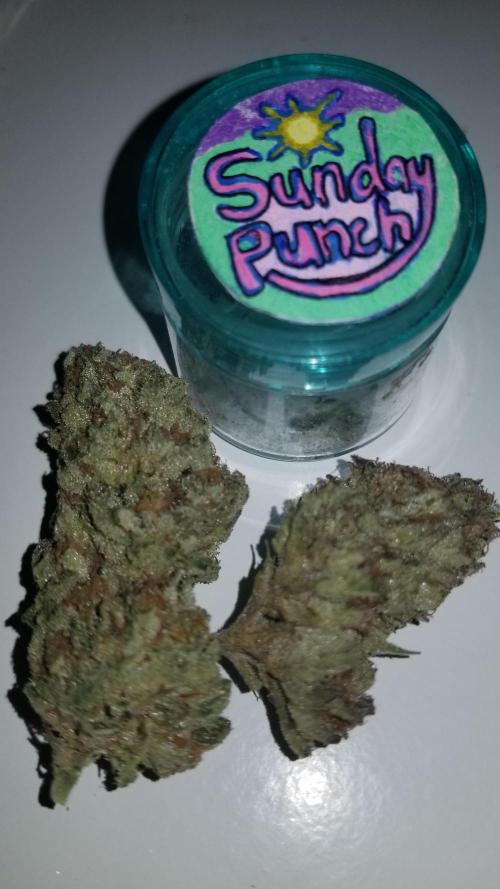 Delicious seeds ER/SP/BB/G. Week 27 - Sunday Punch 