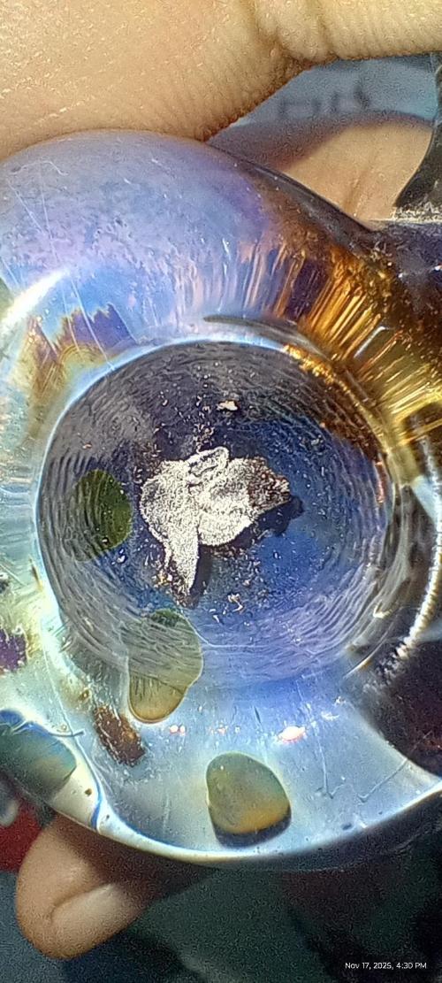 Chimera x ( Guava Dawg x Banana Sherbet). Week 31 - Burns beautifully 