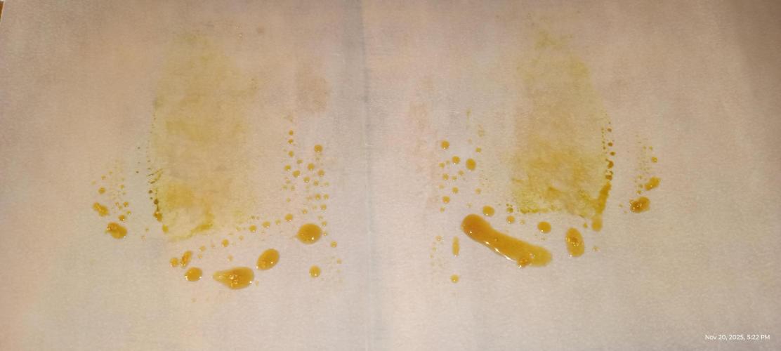 Chimera x ( Guava Dawg x Banana Sherbet). Week 31 - 3rd press 
6 gram press
90u filter bag 