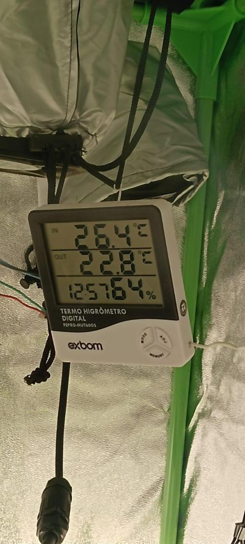 AK-47 Auto + Gelato #41 Fem. Week 0 - temps and rh germ week