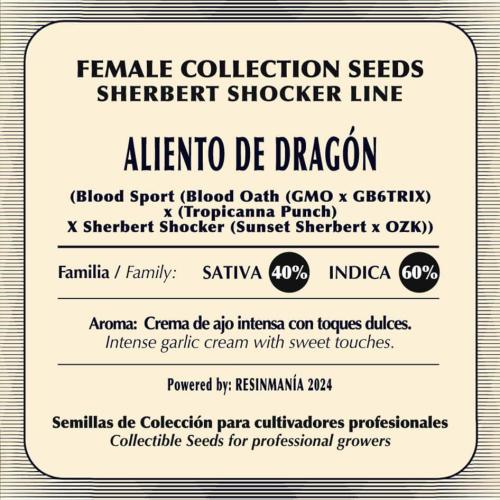 Aliento de dragón - Black Tuna Seeds. Week 0