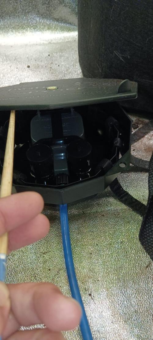 AK-47 Auto + Gelato #41 Fem. Week 8