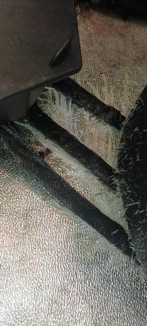 AK-47 Auto + Gelato #41 Fem. Week 10