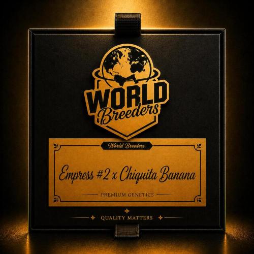 Empress #2 x Chiquita Banana. Week 0