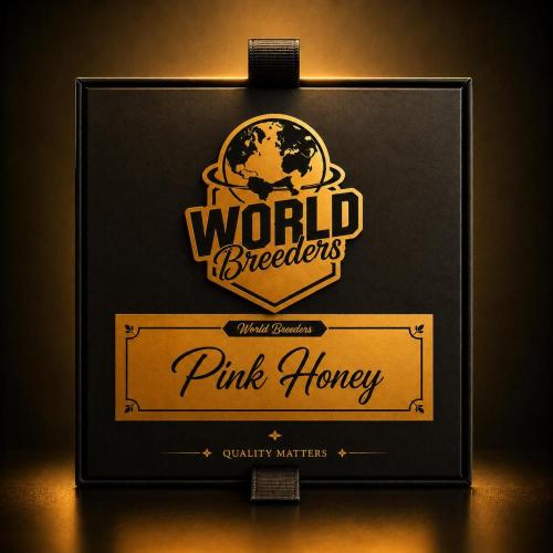 Pink Honey - World Breeders. Week 1
