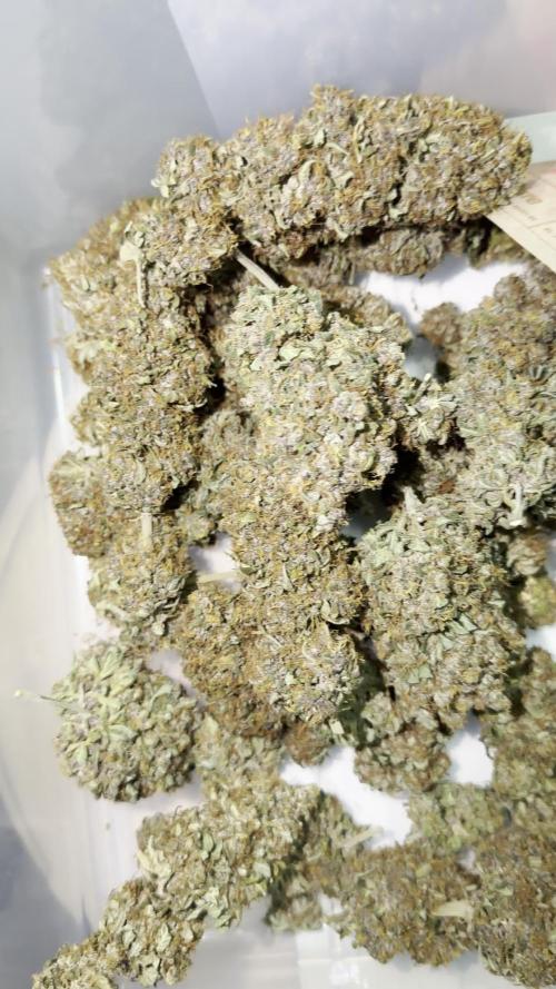 Lemon Cherry Cookies Auto