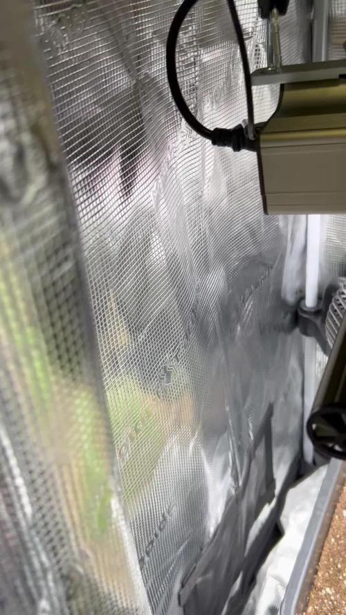 25 Liter Steckling/Cutting Grow