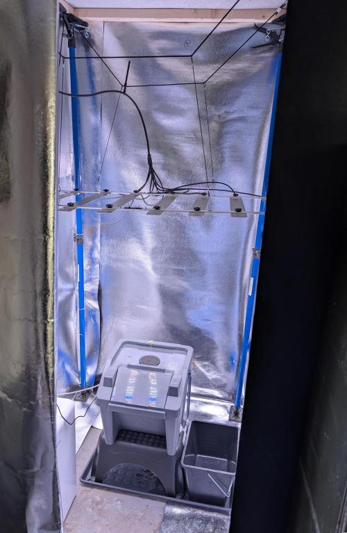 Guava Auto DWC. Week 1 - My DIY Tent 120x120x220cm