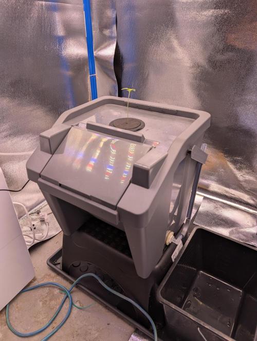 Guava Auto DWC. Week 1 - My new DWC Container. A stackable trash bin. With good access.