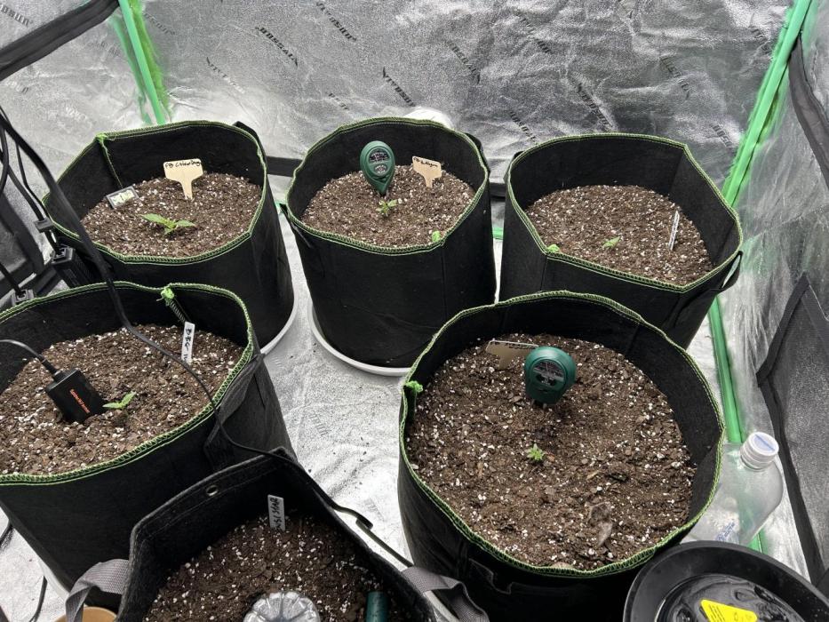 Early winter 4x4. Week 1