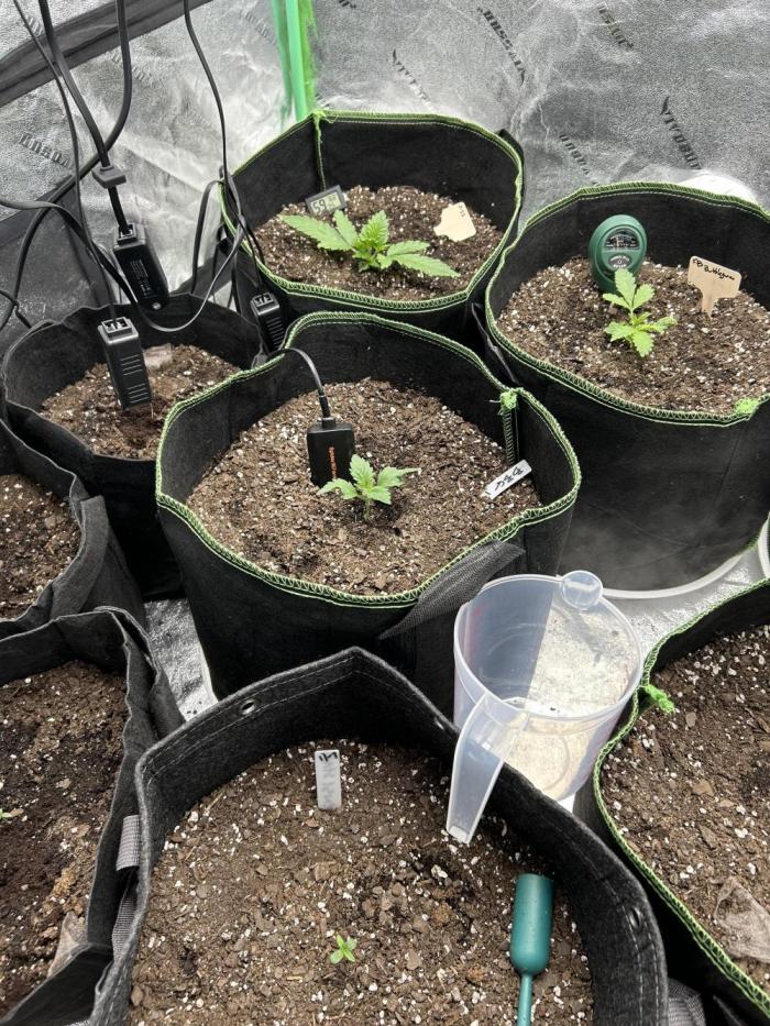 Early winter 4x4. Week 3