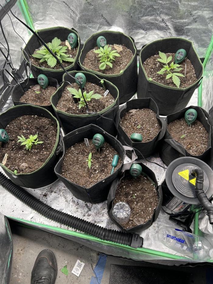 Early winter 4x4. Week 4