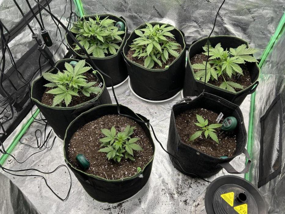 Early winter 4x4. Week 5