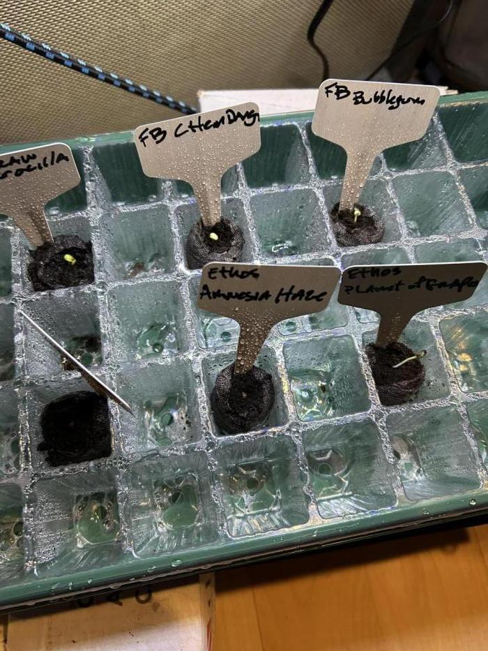 Early winter 4x4. Week 0