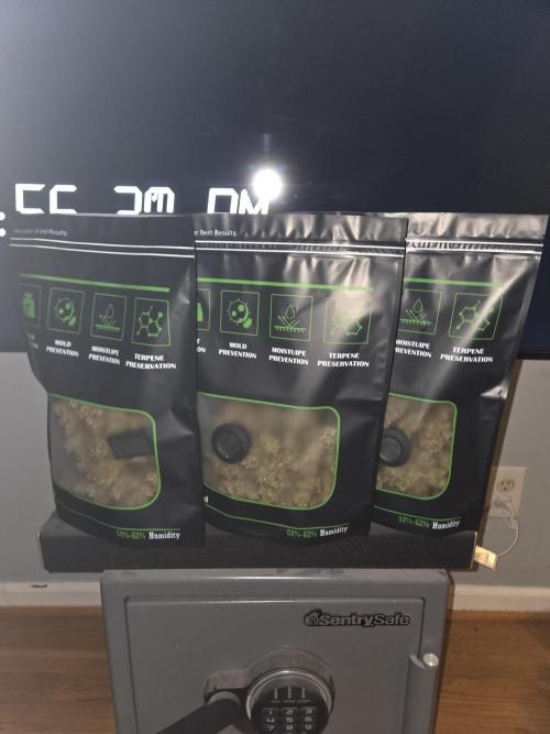 Speedrun Fatality. Week 13