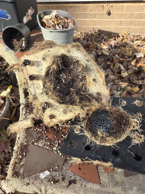 Speedrun Fatality. Week 13