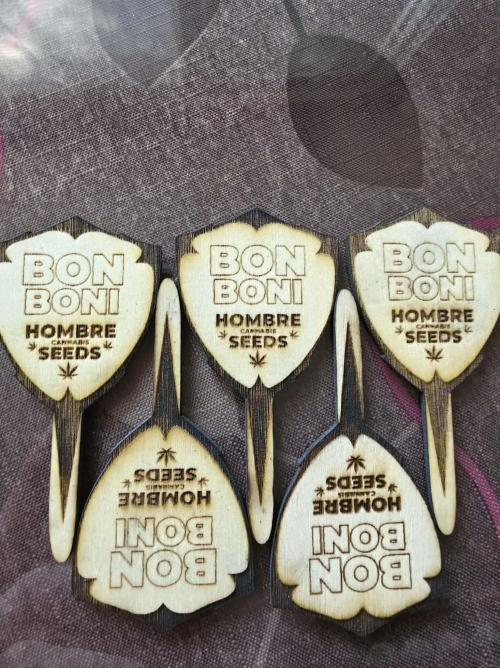 BON BONI. Week 0