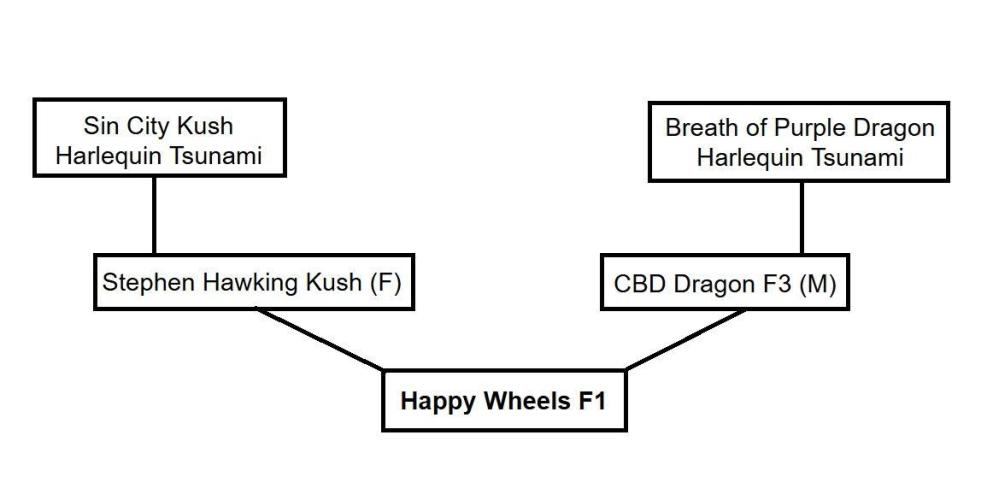 Happy Wheels #1. Week 0