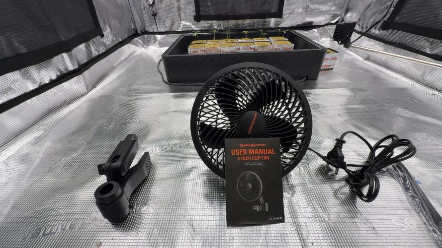 PURPLE PUNCH + 5 GENETICS WITH ATAMI. Week 1