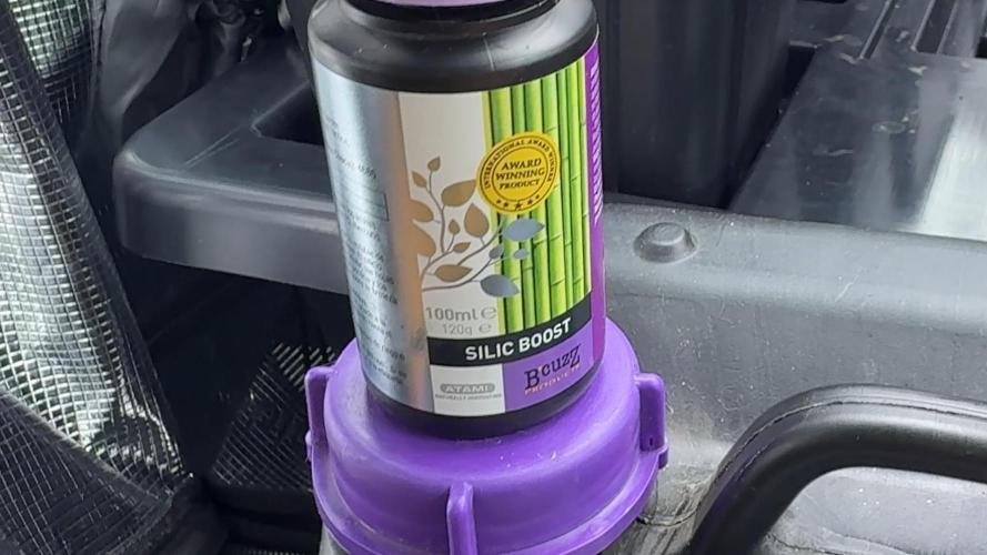 PURPLE PUNCH + 5 GENETICS WITH ATAMI. Week 1