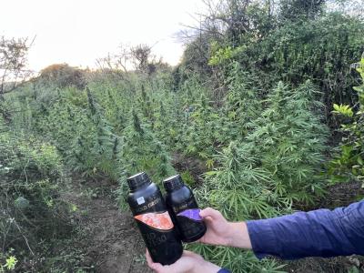 Comment by Ribemarti photo #1