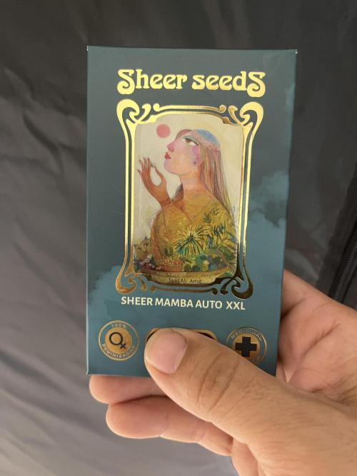 Sheer Seeds Autos de cogolandia. Week 0