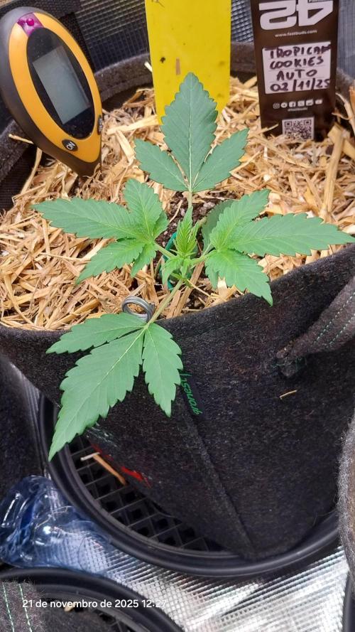 Just do it !. Week 3