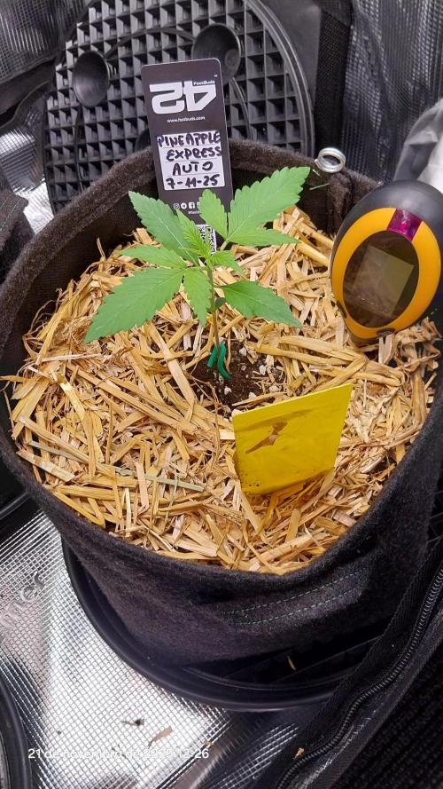 Learning journey. Week 2