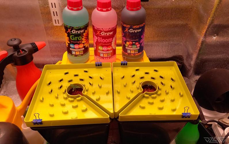 UKHTA. Fruit Gum. Week 1